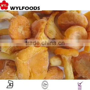 2015 New Product China Mushroom Frozen Chanterelles Mushroom thumbnail-2