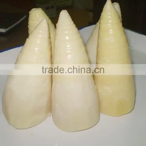 CANNED BAMBOO SHOOT thumbnail-1