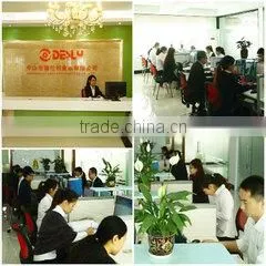 Zhongshan Desly Foodstuffs Co., Ltd. company overview - view 1 thumbnail