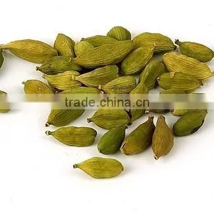 Green Cardamom and Powder thumbnail-1