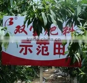 Biological Organic Agro Fertilizer / Base Fertilizer thumbnail-5