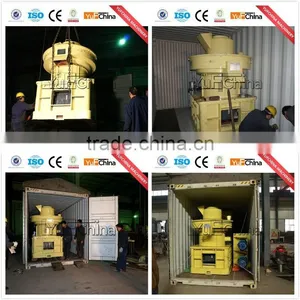 Famous Brand Biomass Pellet Mill for Southeast Asia Market thumbnail-3