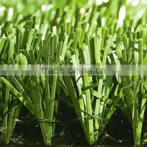2012 Best Sale Raw Emerald thumbnail-1