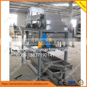 Peanut/hazelnut/walnut/almond Cutting Crushing Machine for Sale thumbnail-1