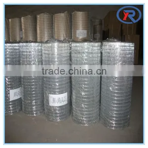 Best Selling Products Welded Mesh for Made in China/galvanized Welded Iron Wire Mesh/galvanized After Welding Cloth thumbnail-5