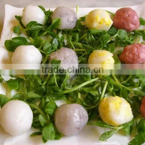 High Quality Automatic Color Fish Ball Moulding Machine thumbnail-1