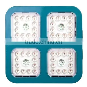 Plant Tissue Culture Led Grow Light Kits 240w thumbnail-3