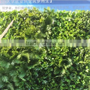 Hot Sale Eco-friendly PE Indoor Artificial Green Wall for Landscaping Decoration thumbnail-3