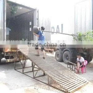Hibiscus Tiliaceus Loading Containers thumbnail-1