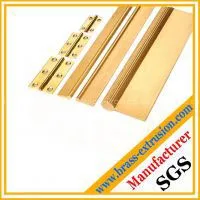 Hinge Copper Alloy Extruded Profile Section thumbnail-1