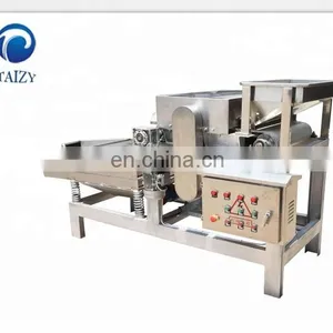 Straight Knife Nut Chopper Crushing Machine Almond Chestnut Cutting Machine Peanut Chopping Machine thumbnail-5