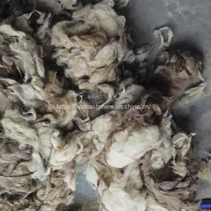 Tibetan Raw Greasy Cashmere Fiber Tibet Cashmere Fineness 14.5mic thumbnail-1