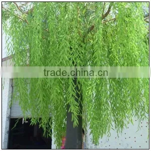 Fiberglass, Plastic Leaf,fiberglass Trunk Material and Trees Plant Type Artificial Wepping Willow Tree for Outdoor Decoration thumbnail-1