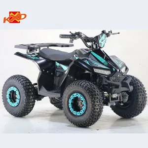 KXD Moto Electric Atv Quad Bikes ATV-003E 48V 1000W off Load Vehicle thumbnail-1