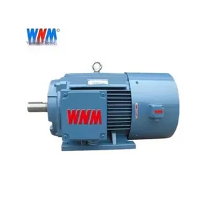 Wannan Motor, Ye5 Series, National Standard Level 1, Ye5-355l1 L-8/185kw 200kw/660v/b3/ip65/b3/b35/b5, Customization Available thumbnail-4