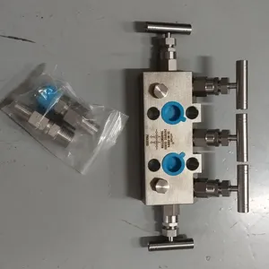 Customized 1/2NPT(M)-1/2NPT(F) High Temperature Resistance Transmitter Valve Stainless Steel Pressure Gauge Two-Valve Manifold 316SS thumbnail-2