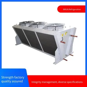 Catering Cold Storage, Borun Refrigeration Cold Storage Compressor, 5 Hp, 4yd - 3.2, Reliable Cold Storage Compressor Unit thumbnail-3