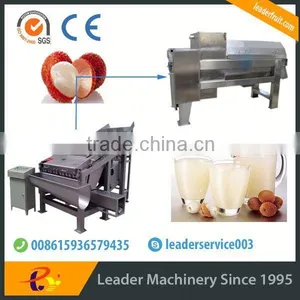 Leader Stainless Steel Longan Fruit Juice Process Line With CE & ISO thumbnail-1