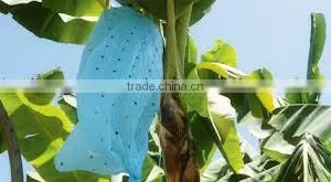 900mm*2000 mm Fruit Protection Bag for Banana thumbnail-2