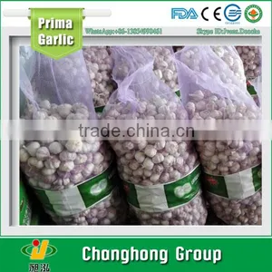 Normal White Garlic 3-4 cm With Lowest Price thumbnail-1