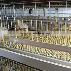 Poultry Farming Equipment Meat Broiler Cage for Steel Chicken House thumbnail-4