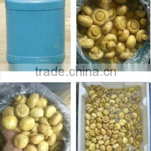 Preserved Whole Mushroom in Drum thumbnail-1