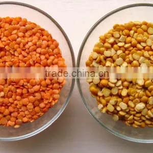 Best Quality DRIED Green Lentils | Red Lentils | Brown Lentils thumbnail-3