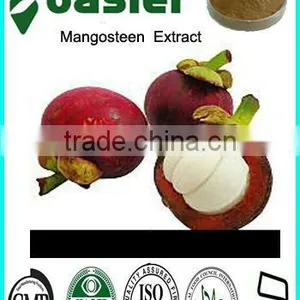GMP ISO HACCP KOSHER Mangosteen Fruit Powder thumbnail-1