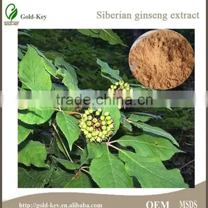 High Quality Siberian Ginseng Extract, Siberian Ginseng Extract Powder, 100% Eleuthero Extract thumbnail-1