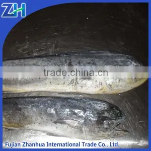 High Quailty Frozen Mahi Mahi WR thumbnail-1