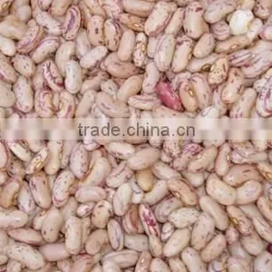 Beans thumbnail-1