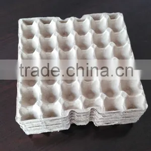 Pulp Molded Seedling Tray Machine thumbnail-5