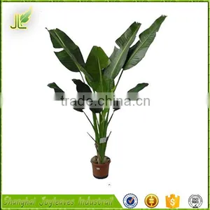 Low Price Evergreen Hot Sale Artificial Banana Tree for Indoor Landscape thumbnail-4