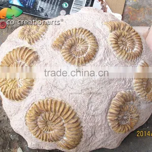 Hot Sale Customized Handmade Fiberglass Marine Fossils thumbnail-1