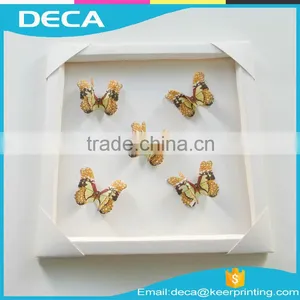 3D Butterfly Wall Sticker Decal Home Decor Room Decoration Art Wall Home Sticker thumbnail-2