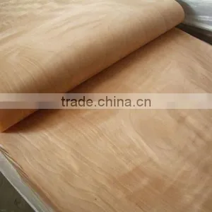 1270 mm x 640 mm Natural Eucalyptus Wood Rotary Cut Core Veneer thumbnail-3