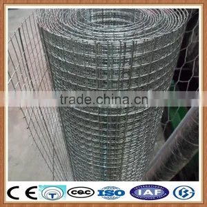New Product Galvanized Welded Wire Mesh/ Welded Wire Mesh Fence for Sale thumbnail-1