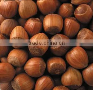 Hazelnut Oil thumbnail-1