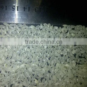 Camolino Rice Oil Polished thumbnail-2