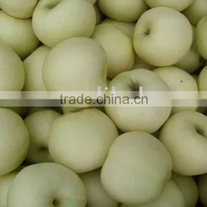 Golden Apple thumbnail-1