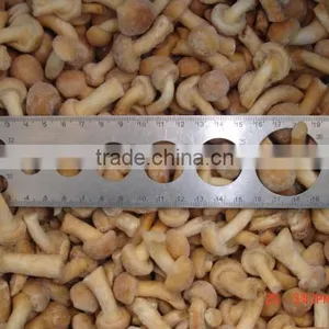 Fresh Frozen Pholiota Nameko thumbnail-5