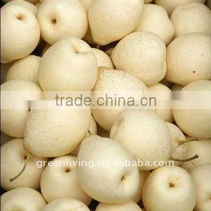 2011 New Crop ya Pear thumbnail-1