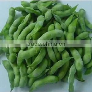 IQF Green Soybeans thumbnail-1