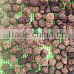 Grade A Frozen Summer Truffle 2015 thumbnail-2