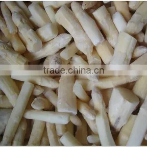 IQF Asparagus White and Green Tips and Cuts thumbnail-4
