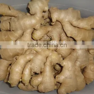 Fresh Air Dried Ginger thumbnail-3