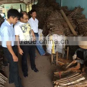 VIETNAM SPLIT CASSIA thumbnail-3