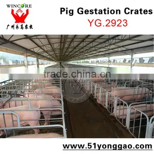 Pig Farm Equipment Sow Pig Gestation Crates Pig Equipment thumbnail-3