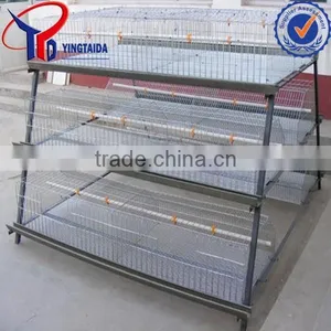 Metal Wire Mesh Broiler Chicken Poultry ( ISO9001 Factory) thumbnail-3