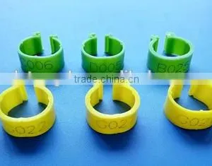 Pigeon & Poultry Ring thumbnail-2